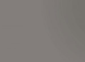 AlfaSurfaces Pet Gloss Stone Grey 1148