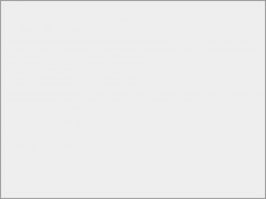 Πάνελ Acrylic L 751 GL ΛΕΥΚΟ