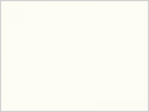 Πάνελ Μελαμίνης W1000-ST9-Premium-White