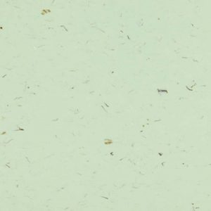 Βινυλικό Δάπεδο