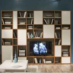 βιβλιοθήκη με ράφια /by astrakis / cfw