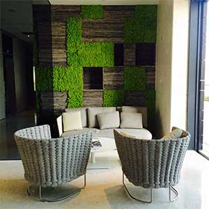 Διακοσμητικά Βρύα - Λειχήνα