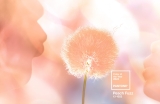 Peach Fuzz: Αυτό είναι το “Χρώμα του 2024″ από την Pantone