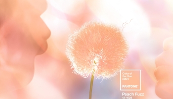 Peach Fuzz: Αυτό είναι το “Χρώμα του 2024″ από την Pantone