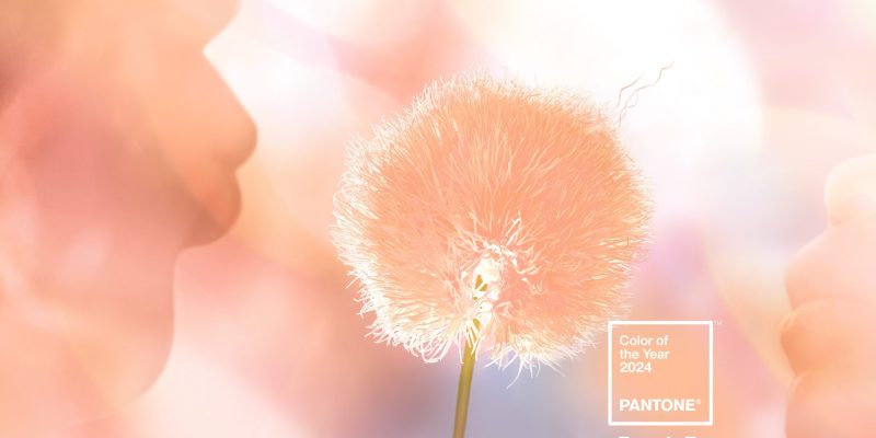 Peach Fuzz: Αυτό είναι το “Χρώμα του 2024″ από την Pantone