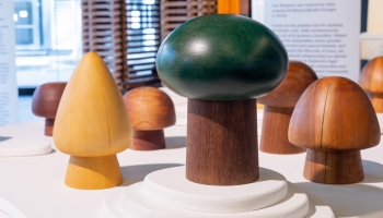 Δωρεάν έκθεση έως 23 Απριλίου: Ξυλεία & κλιματική αλλαγή